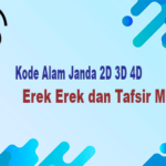 Kode Alam Janda 2D 3D 4D Erek Erek dan Tafsir Mimpi